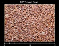 1-2 Tuscan Rose